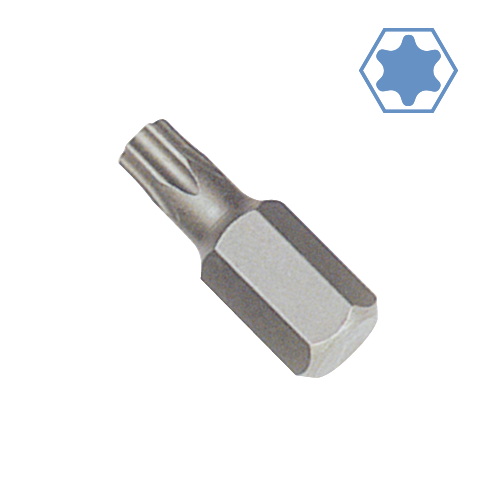 10 MM 30 MML HEX SHANK TORX BIT